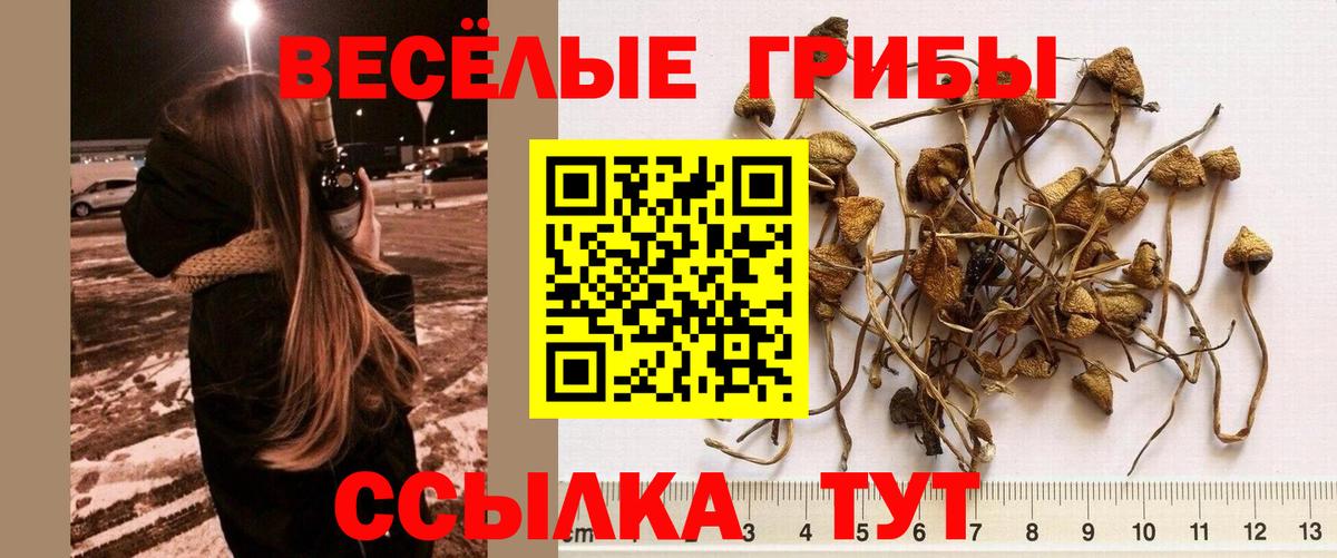Киров  Галлюциногенные грибы мицелий  купить закладку  Вход с VPN 